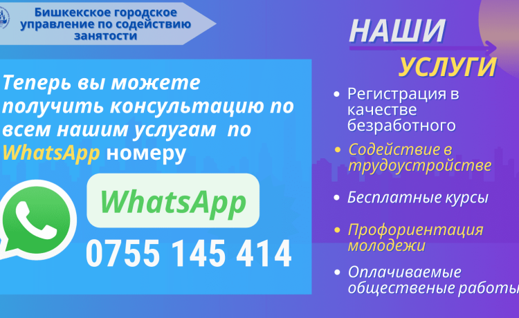 Теперь вы можете получить консультацию по всем нашим услугам  по WhatsApp номеру